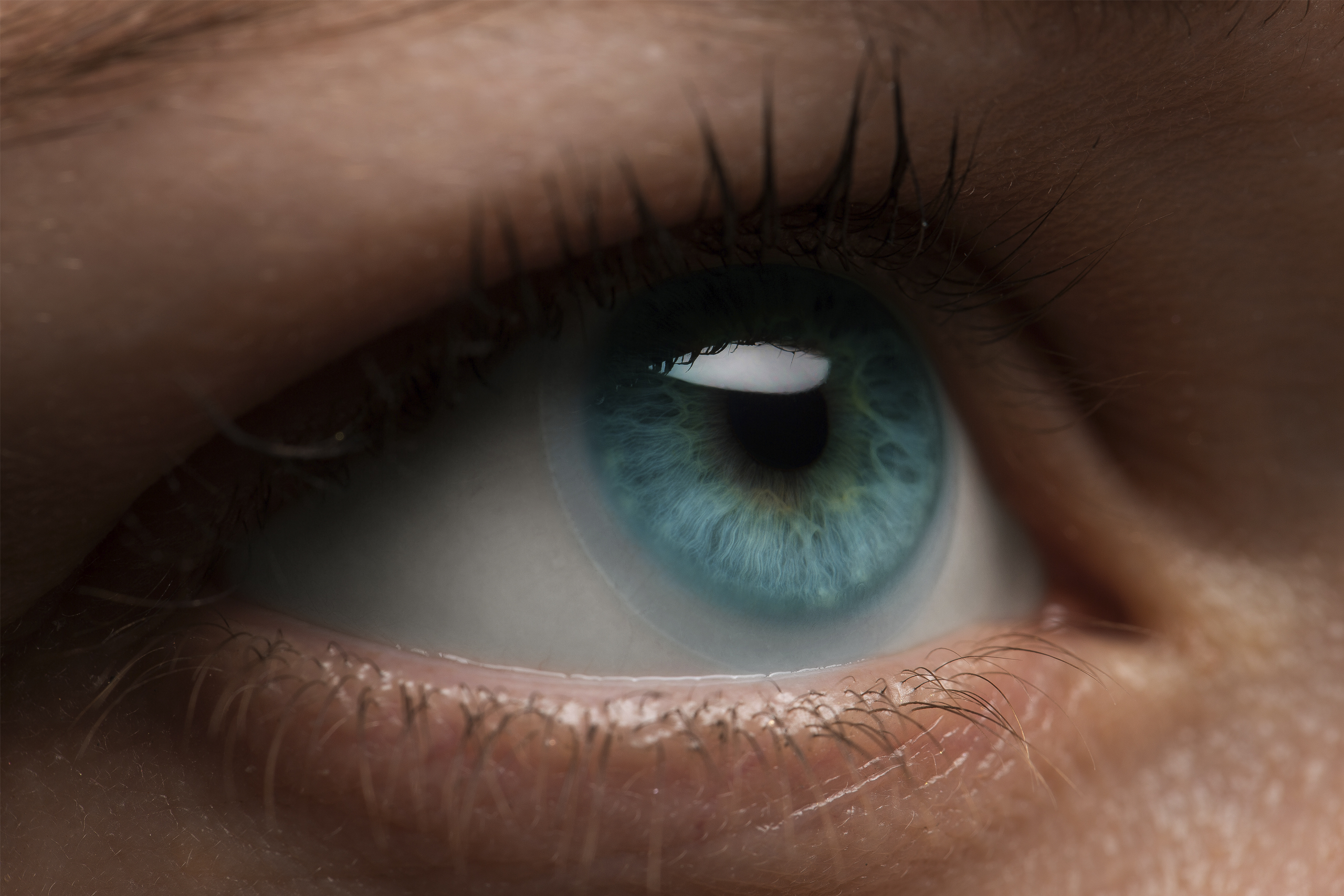 Linser desktop_2560x1707