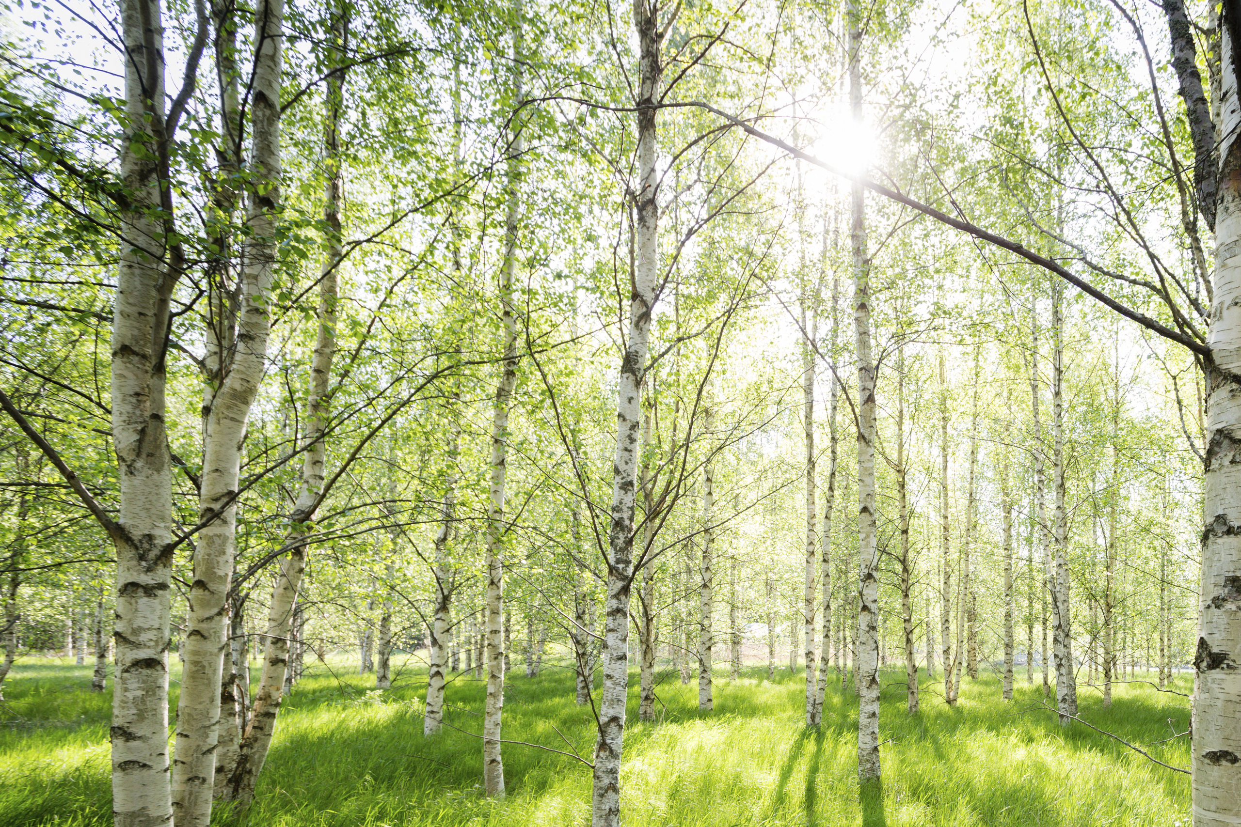 Hälsosam höst med personlig optiker_desktop